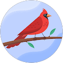 AACH profile picture