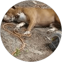 Elijah Valencia profile picture