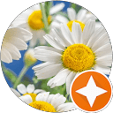 Charlotte East profile picture