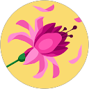 Barb Underdahl profile picture